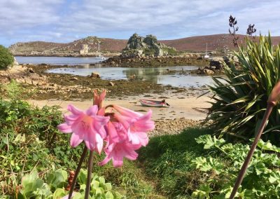 Lily on Bryher