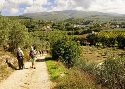 Walking towards Trevi