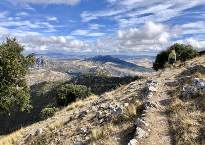 Footpath in Andalucia