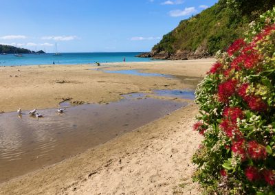 Onetangi beach Waiheke