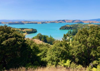 Waiheke Island, Auckland