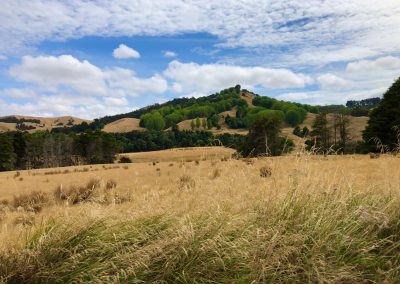 New Zealand scenery