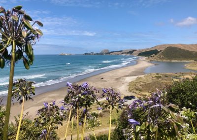 Wairarapa coast